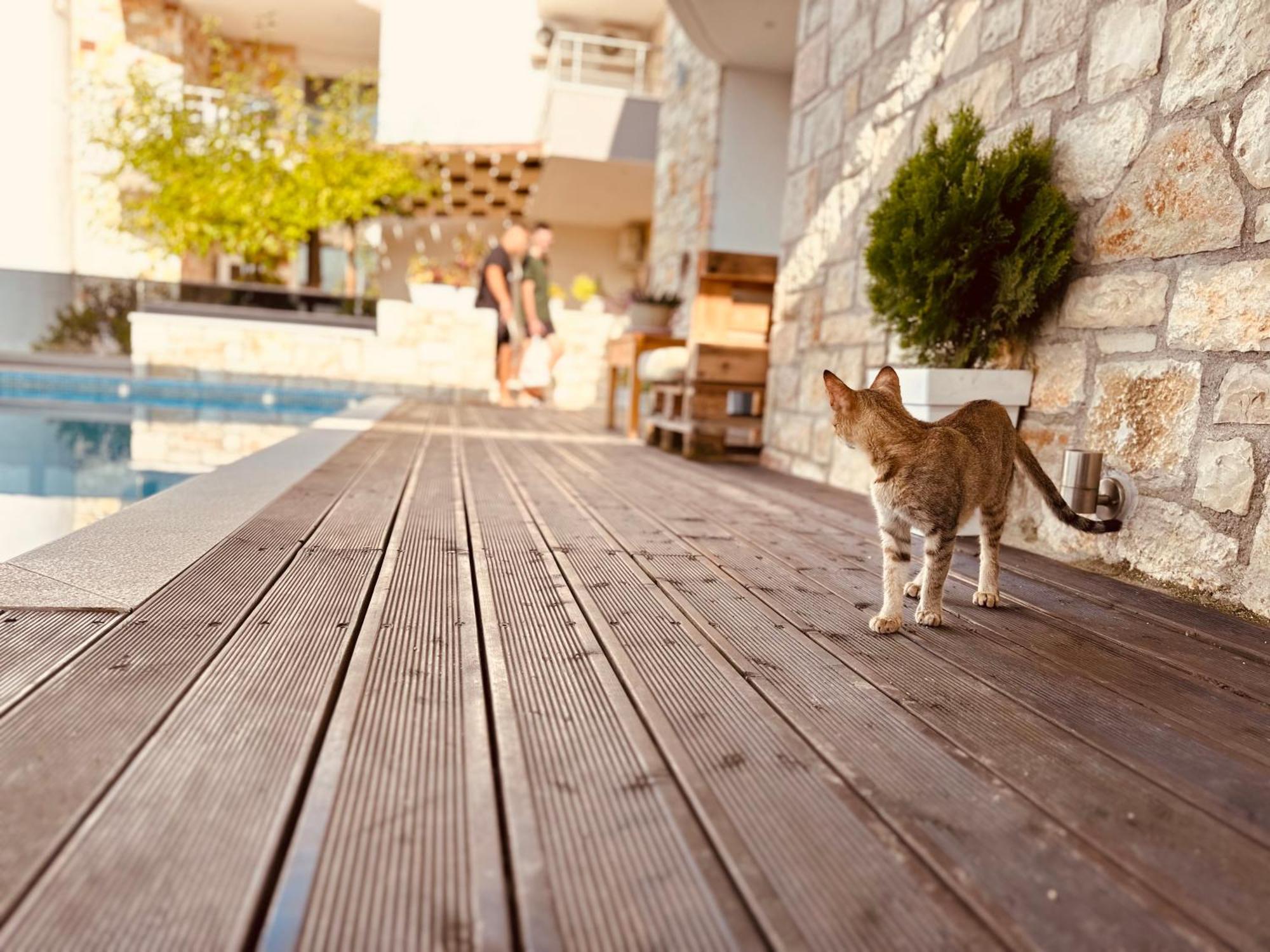 Villa Merkuri Himarë Dış mekan fotoğraf